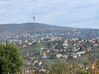 Eladó panorámás telek - Pécs, Baranya - Telek, föld