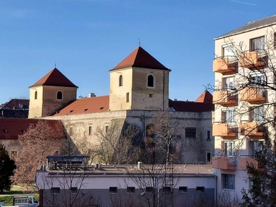 Thury vár mellett, Mfsz-i 1 szobás jó állapotú tégla lakás! - Várpalota, Veszprém - Lakás