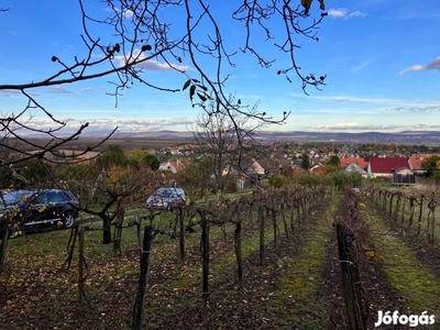 Etyek-Újhegyen panorámás telek szőlővel, faházzal eladó!