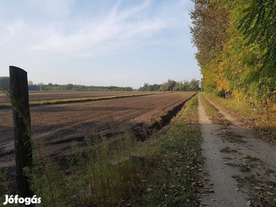 Tanya tégla építésű házzal, 4,5 ha területtel