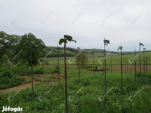 Babosdöbrétén panorámás építési telek eladó