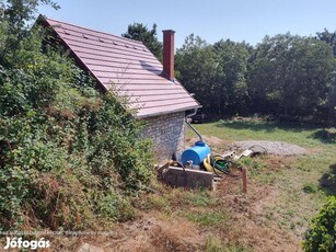 Balatonszőlős erdő mélyén házikó