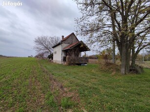 Bicskén hétvégi ház/nyaraló gyümölcsössel eladó!