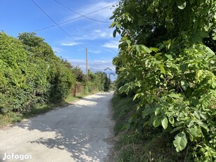 CSÚCSHEGY, PATAKVÖLGYI LEJTŐ, 1960 NM, GYÖNYÖRŰ PANORÁMA