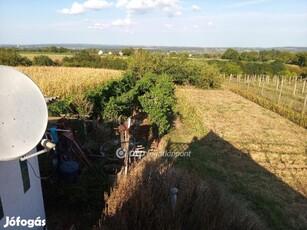 Dombóvár Szőlőhegy belterületén 30,5nm ház, présház, pince eladó!