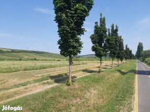 Egeri eladó telek