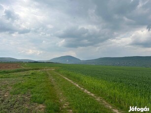 Elado 2600nm telek Pilisvorosvar panorama