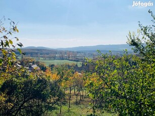 Eladó erdő Pécselyen, mesés környezetben