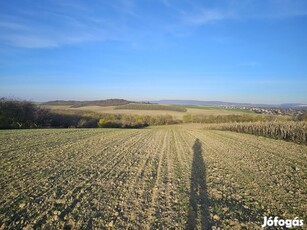 Eladó panorámás telek Környén, zöld övezetben