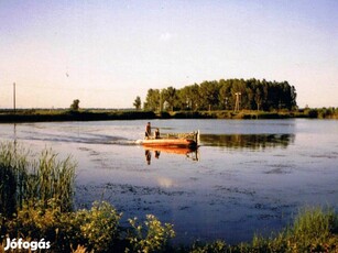 Halastavak Tiszasüly-Kolopfürdőn, vadkacsa neveléssel eladók