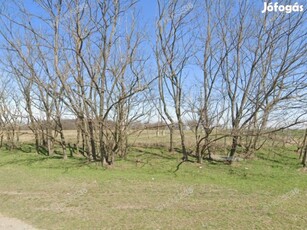 Kecskeméten ,10000 m2 területű telek, KMÜ hasznosításra eladó.