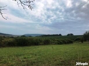 Panorámás zártkert Óbudaváron