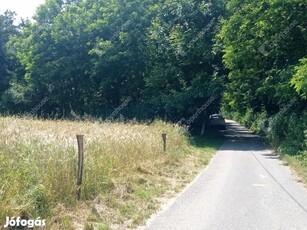 Természetközeli Építési telek Zalaegerszegen eladó!