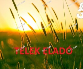 Eladó telek - Ballószög