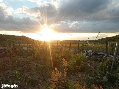 Bakonyi panorámás, Pénzesgyőr gazdálkodásra alkalmas családi ház eladó