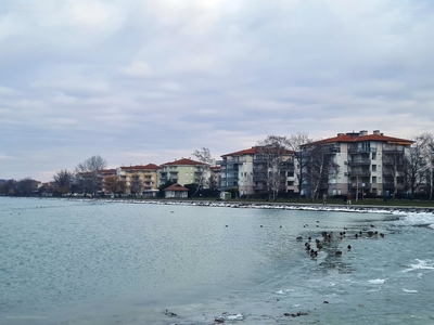 Balatonszabadi, ingatlan, telek, 19.900.000 Ft