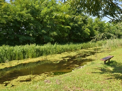 Sárás, Győr, ingatlan, nyaraló, 36 m2, 13.900.000 Ft