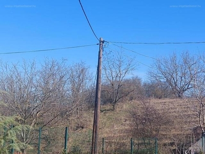 Adony, ingatlan, mezőgazd. ingatlan, 615 m2, 5.000.000 Ft