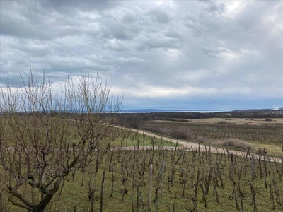 Eladó jó állapotú lakás - Székesfehérvár