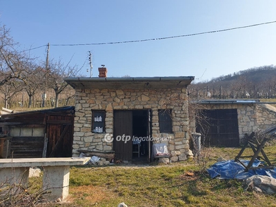 Eladó mezőgazdasági ingatlan - Tapolca