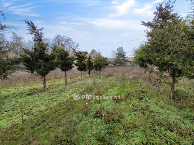 Kiskunhalas, ingatlan, ház, 31 m2, 6.900.000 Ft