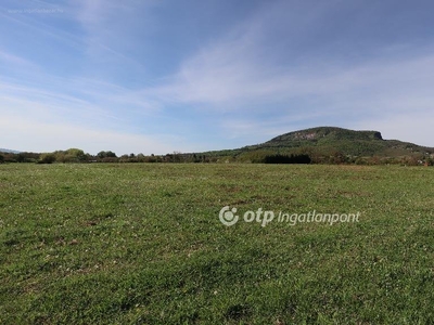 Badacsonytomaj, ingatlan, mezőgazd. ingatlan, 7739 m2, 24.990.000 Ft