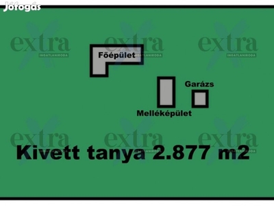 Domaszéken, közel a Zöldfás Templomhoz, Tanya, épületekkel Eladó!