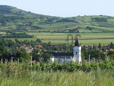 Eladó telek Bodrogkeresztúr