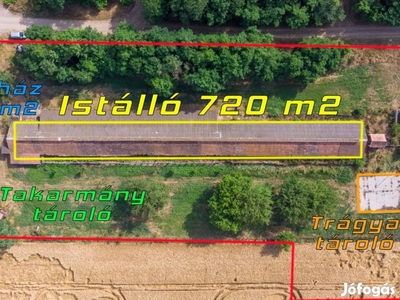 Fácánkert, 720 m2 szerfás istálló 8284 m2 telken + 30 m2 kisház