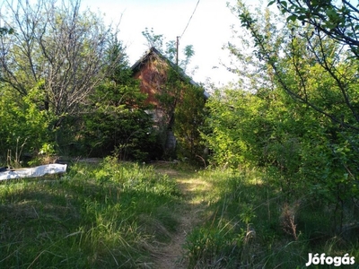 Mogyoród, Tölgyesi részen, 1197 m2-es, telek