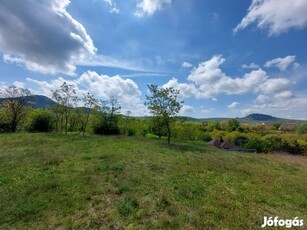 Eladó 2845 m2 belterületi telek Tokodon