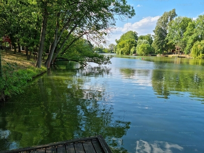 Eladó hétvégi házas nyaraló - Gyomaendrőd, Bónomzug