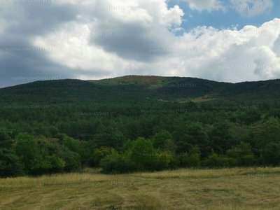 Eladó hétvégi házas nyaraló - Hejce, Petőfi utca 12.