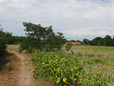 Eladó lakóövezeti telek - Tura, Pest megye