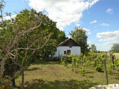 Eladó tanya - Tiszakécske, Sárhalom