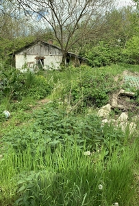 Kikapcsolódás, kertészkedés, saját termésű bor Balatonlellén a Kishegy - Balatonlelle, Somogy - Nyaralók, üdülők