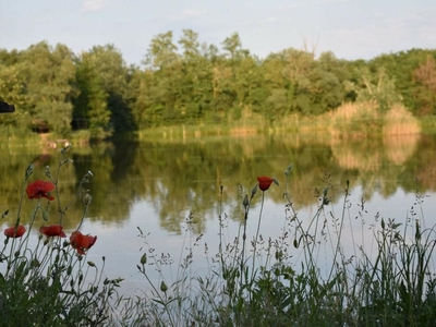 Vác, Horgásztói utca