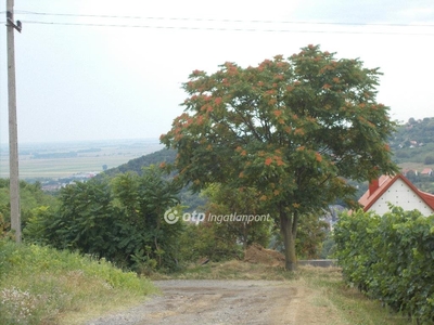 Szekszárd, ingatlan, mezőgazd. ingatlan, 858 m2, 3.000.000 Ft