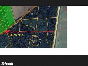 Eladó őrségi Natura2000 erdő, Szőce, Zalaháshágy