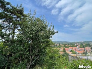 Örökpanorámás lakóövezeti telek Budakeszin