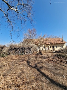 Bordány, ingatlan, telek, 28.000.000 Ft