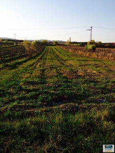 Eladó termőföld, szántó - Balatonudvari