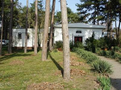 Siófok, ingatlan, üzleti ingatlan, 1300 m2, 1.160.000.000 Ft