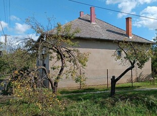 Eladó családi ház Szelevény