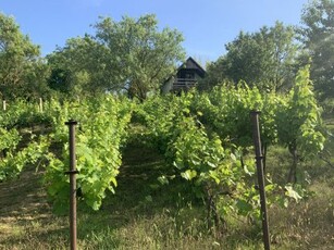 Eladó Ház, Somogy megye Siófok Panorámás nyaraló, SIÓFOK KILITIN gyümölcsössel, szőlővel