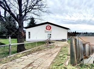 Eladó mezogazdasagi ingatlan Szegi, Alkotmány út