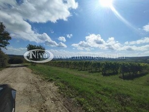 Eladó mezogazdasagi ingatlan Szentjakabfa