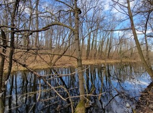 Eladó telekDunavarsány