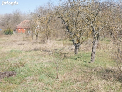 Dánszentmiklósi építési telek eladó