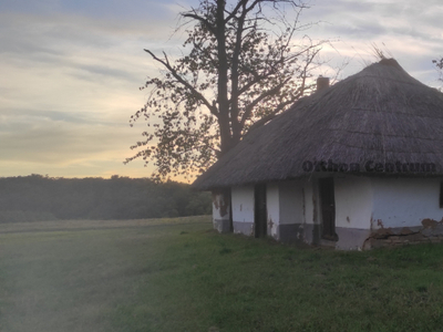 Eladó felújítandó nyaraló - Balatonújlak